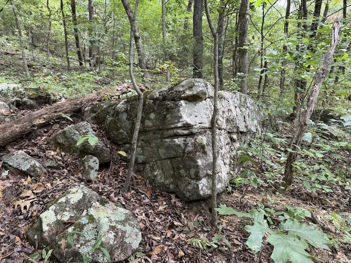 Property Photo:  Tract 3/4 Terrapin Road  AR 72601 