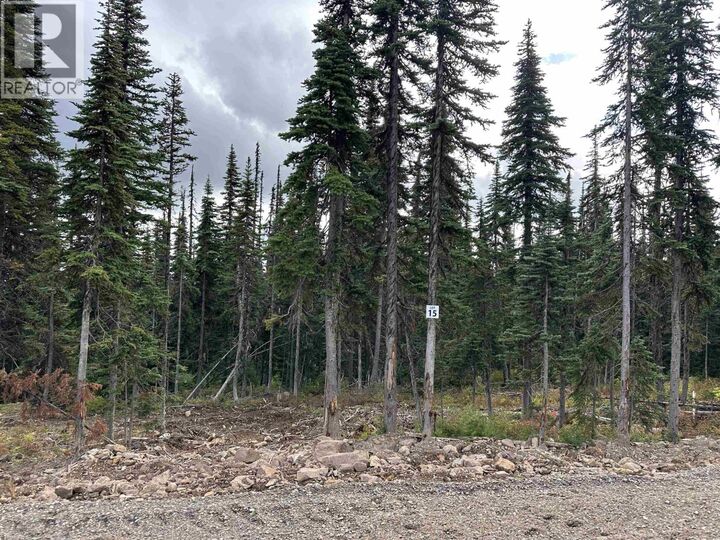 Lt 15 Alpine Way Pr. St — photo 1
