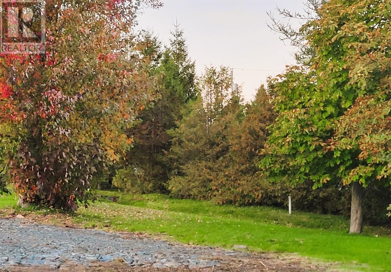 Property Photo:  401 Water Street  NL A0A 1G0 