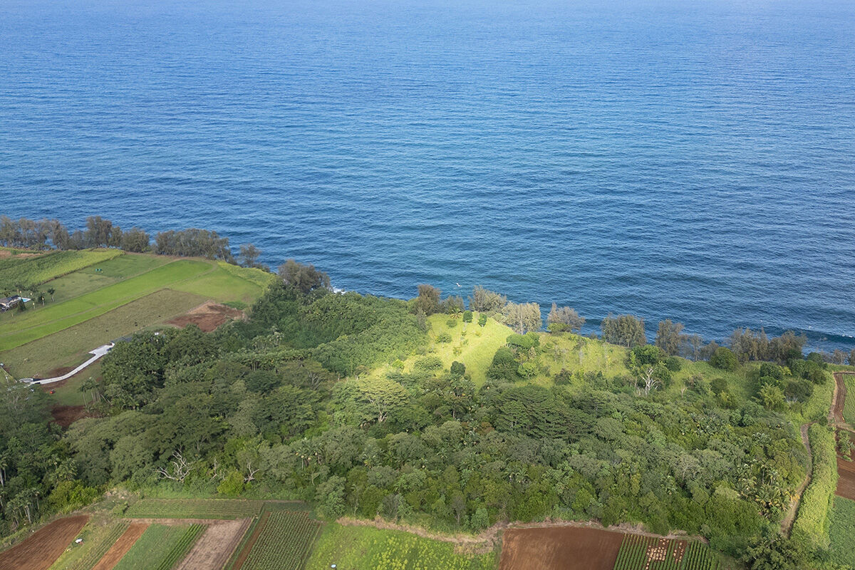 Property Photo:  28-110 Kulaimano Homestead Road  HI 96783 