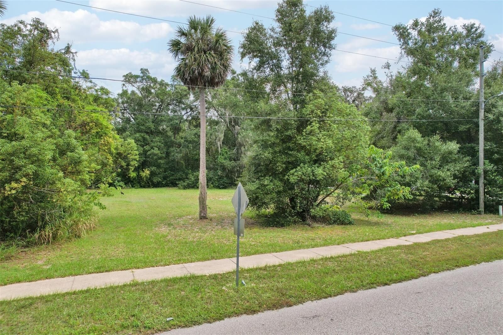 Property Photo:  847 Palmetto Street  FL 32726 