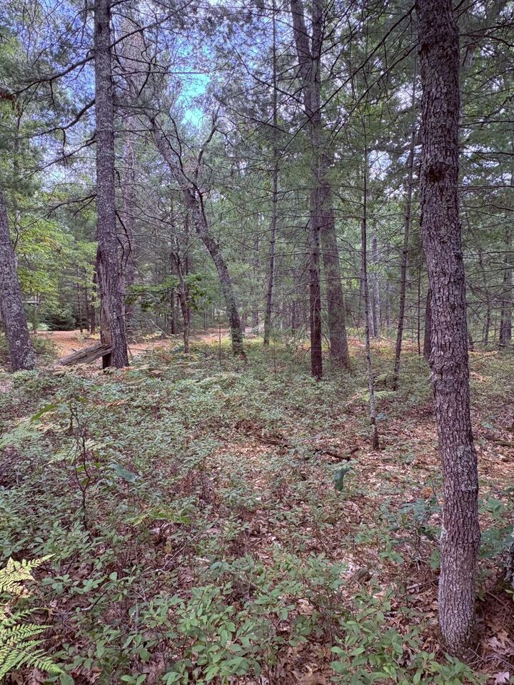 Property Photo: 00 S Shady Grove Drive MI 49304