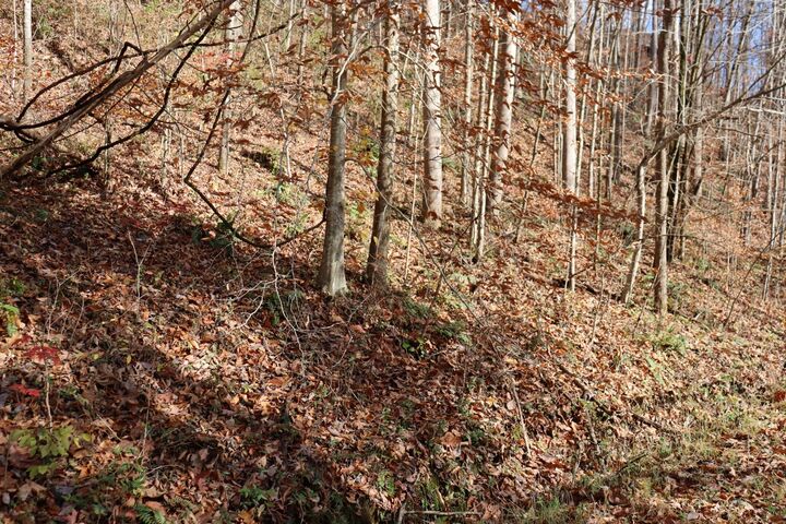 Property Photo:  74 Cherokee Dr  TN 37166 