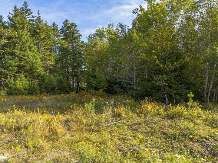 Property Photo:  Lot 3 Chandlers Way  NS B0W 1L0 