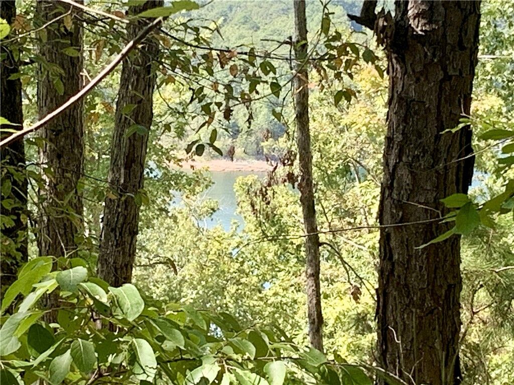 Property Photo:  Post Oak Road  AR 72732 