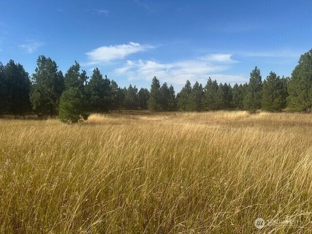 Property Photo:  0  Malcolm Grade Road  WA 99328 