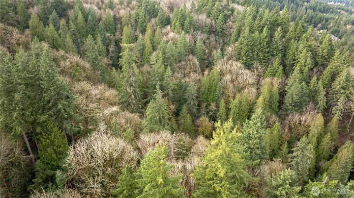 190 Xx SE 66th Street  Issaquah WA 98027 photo