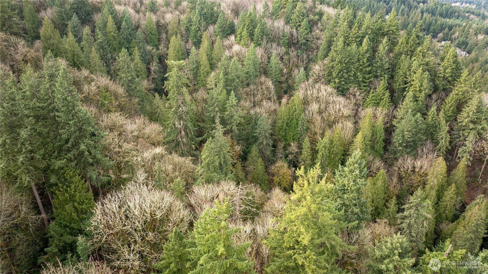 Property Photo: 190 Xx SE 66th Street WA 98027