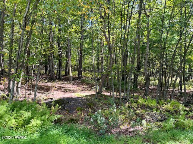 Property Photo: Lot 427 Squirrel Road PA 18328
