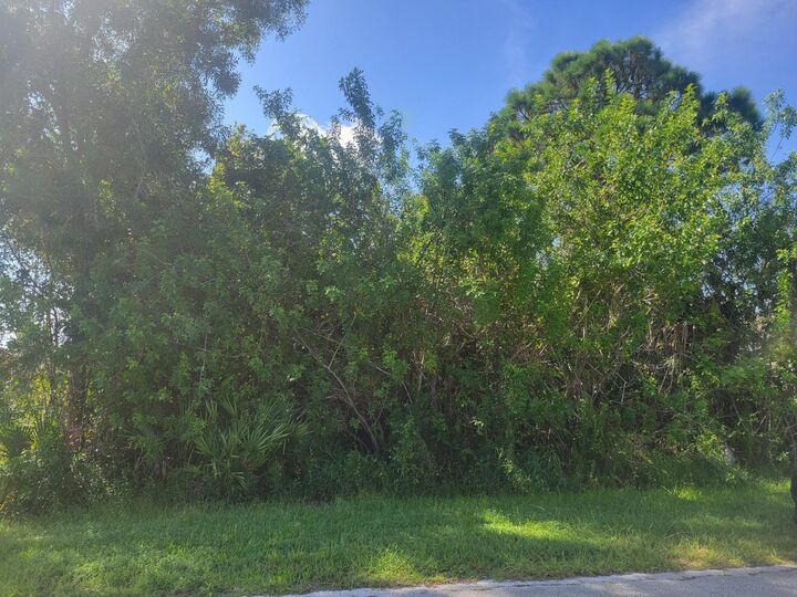 Property Photo:  474 SW Kaabe Avenue  FL 34953 