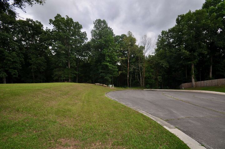 Property Photo: 0 Ryan Creek Rd AL 35055 - CULLMAN