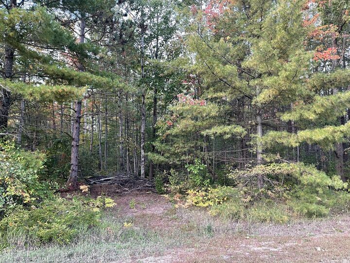 Property Photo: V/L 1.99ac Poplar Drive MI 49735