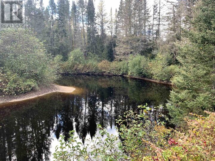 Photo de la propriété:  101 Proudfoot Road  ON P0A 1Z0 