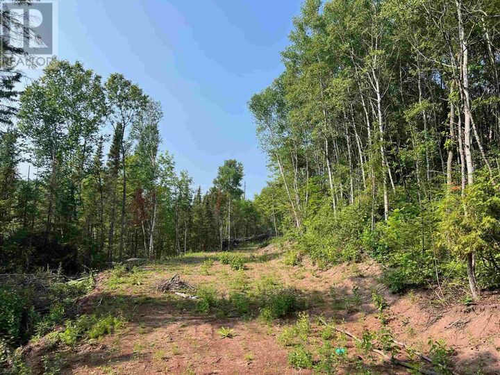 Photo de la propriété:  131 Second Line Rd  ON P6C 2M4 