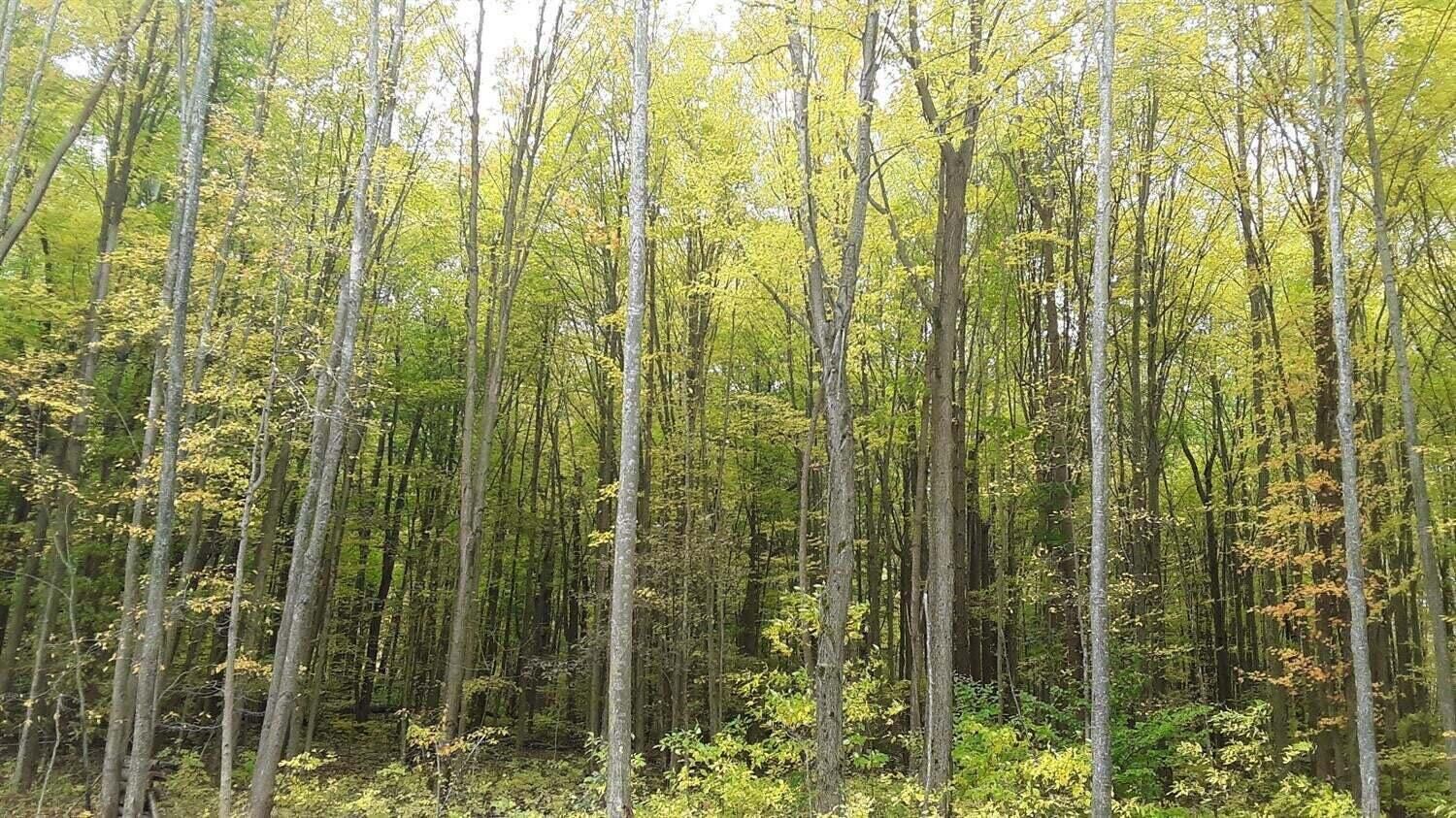 Property Photo:  0 Meer Road  IN 46360 