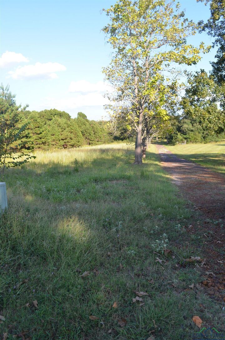 Property Photo: 6539 S County Road 401 TX 75652