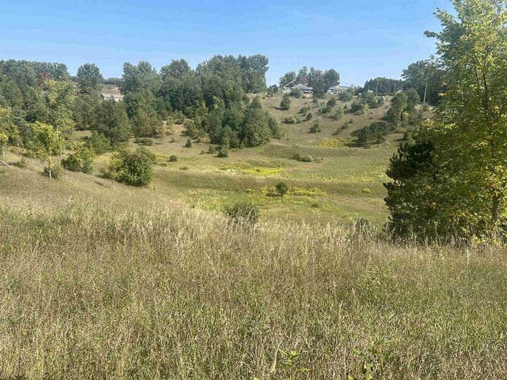 Property Photo:  000 Solon Road  MI 49684 