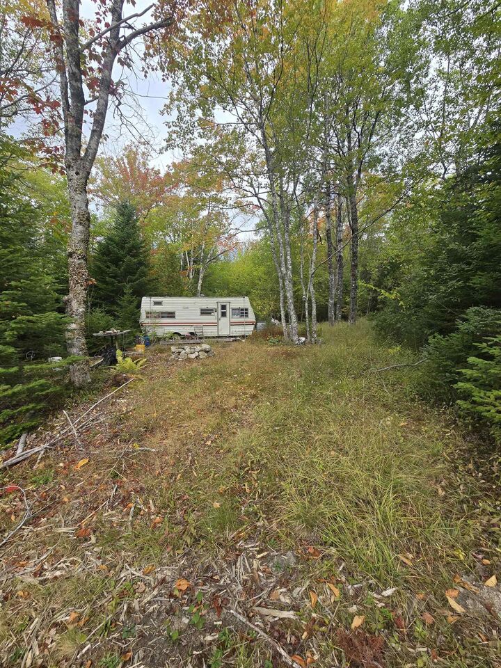 Photo de la propriété:  41 Freeman Collicutt Road  NS B0J 1J0 