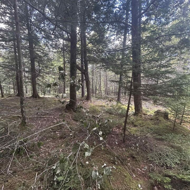 Property Photo:  Lot 25-2 Conquerall Mills Road  NS B4V 7A3 