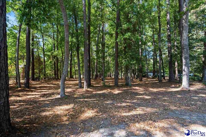 Property Photo:  Tbd Cypress Bend Road  SC 29506 