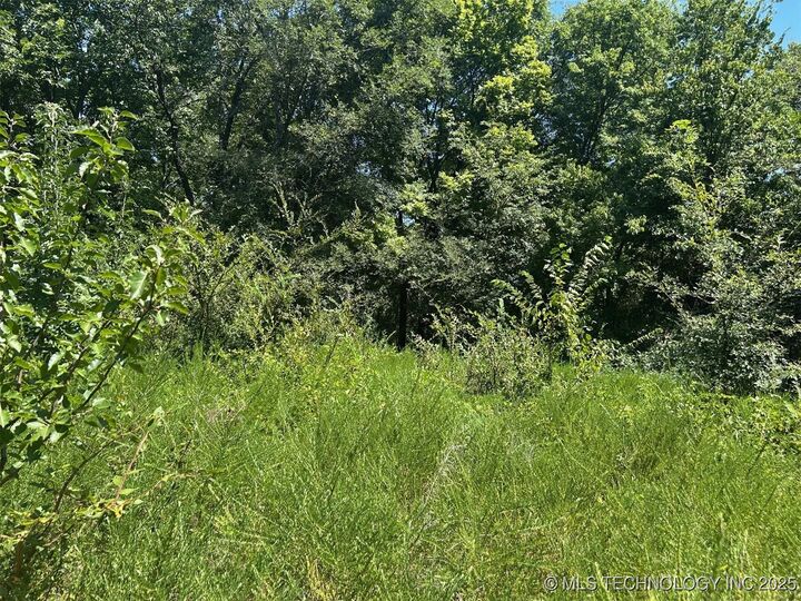 0000 Cottonwood Road  Roland OK 74954 photo