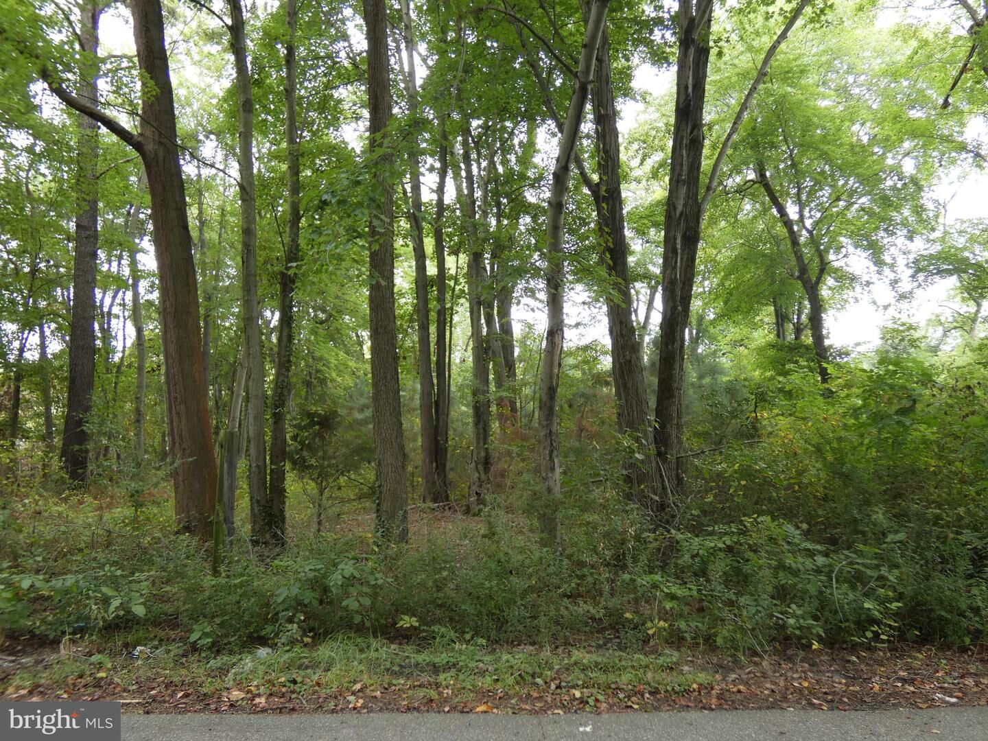 Property Photo:  Sharp Street  MD 21661 