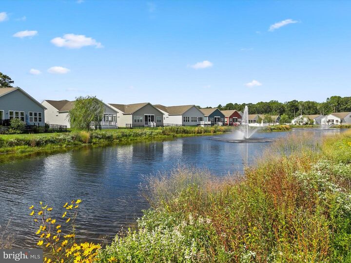 Property Photo: 21160 Conti Street DE 19958