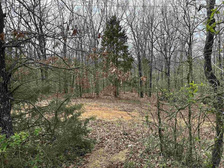 Property Photo: Lot 5 Raby Road AR 72432