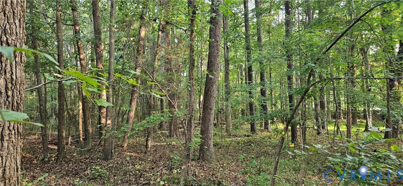 Property Photo:  3700 Peachtree Street  VA 23834 