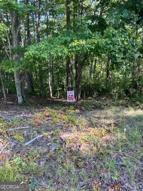 Property Photo:  Lts 61 &Amp 62 Honeysuckle Way  GA 30540 