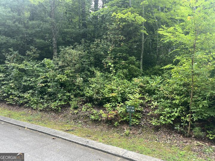 Property Photo:  Lot 40 Anderson Drive  GA 30525 