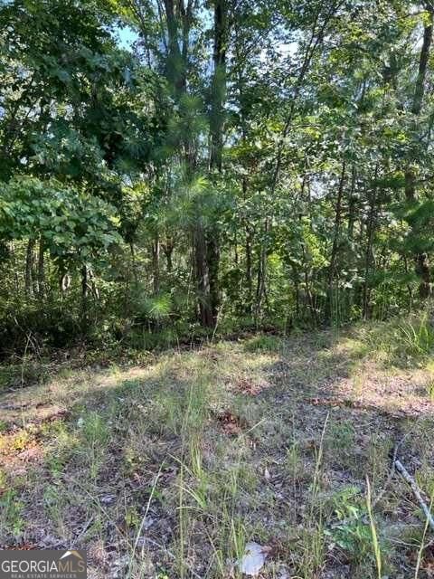 Property Photo: Lt 60 Honeysuckle Way GA 30540