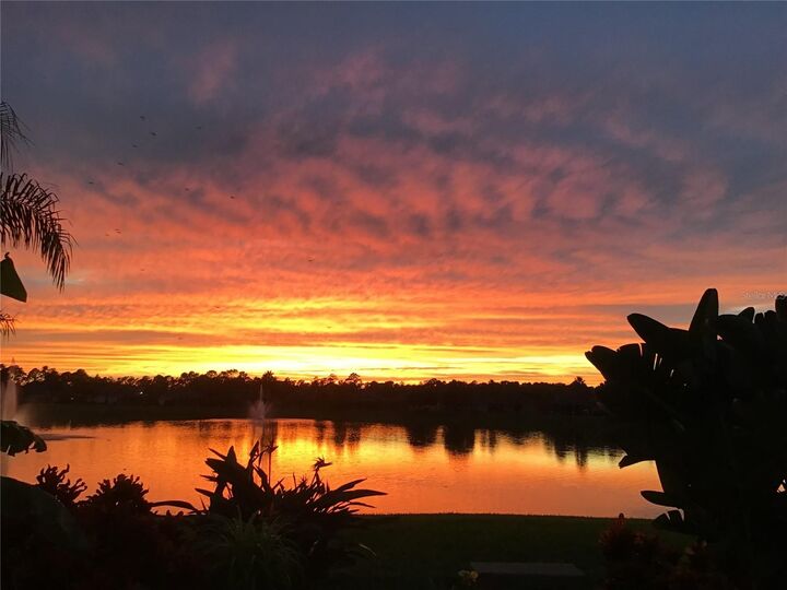 Property Photo: 116 Arena Lake Drive FL 32137