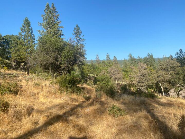 Property Photo:  13911 Ingersoll Drive  CA 95935 