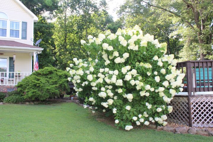 Property Photo:  170 Hillwood Dr  TN 37330 