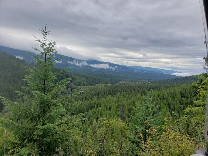 Property Photo:  Lot 16 Nine Mile Road  MT 59846 