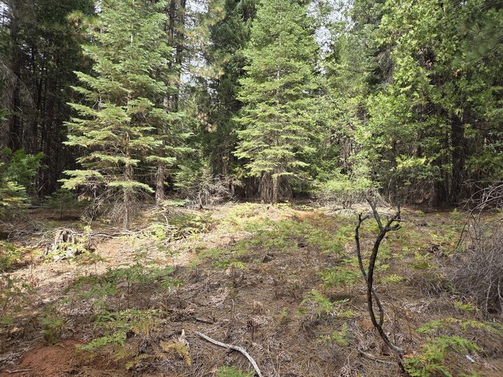 Property Photo:  Lot 28&Amp29 Emerald Way  CA 96088 