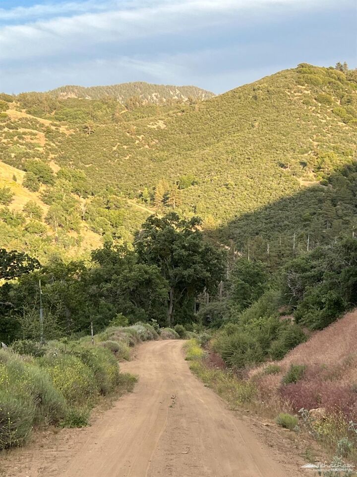 Property Photo:  17401 St Moritz Drive  CA 93561 