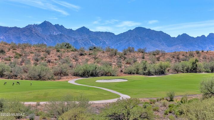 Property Photo: 62165 E Valley Crest Court AZ 85739