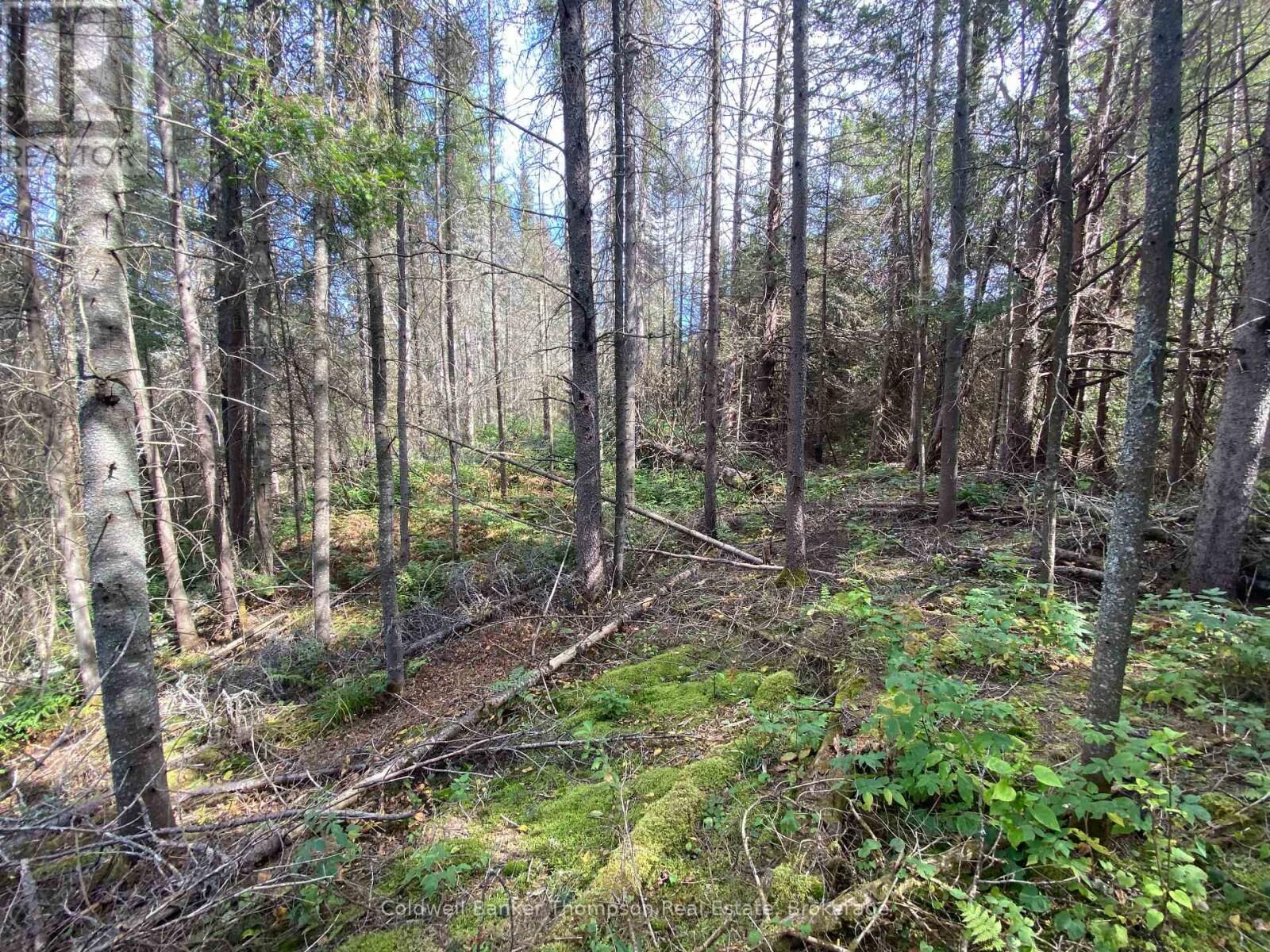 Photo de la propriété:  0 Municipal Road North  ON P0A 1X0 