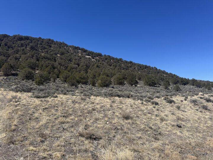1850 S Riverview Dr  Panguitch UT 84759 photo