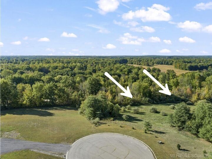 Property Photo:  0 Abby Court  MI 48428 