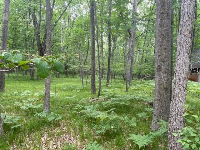 Property Photo: 12060 Chinook Drive MI 49346