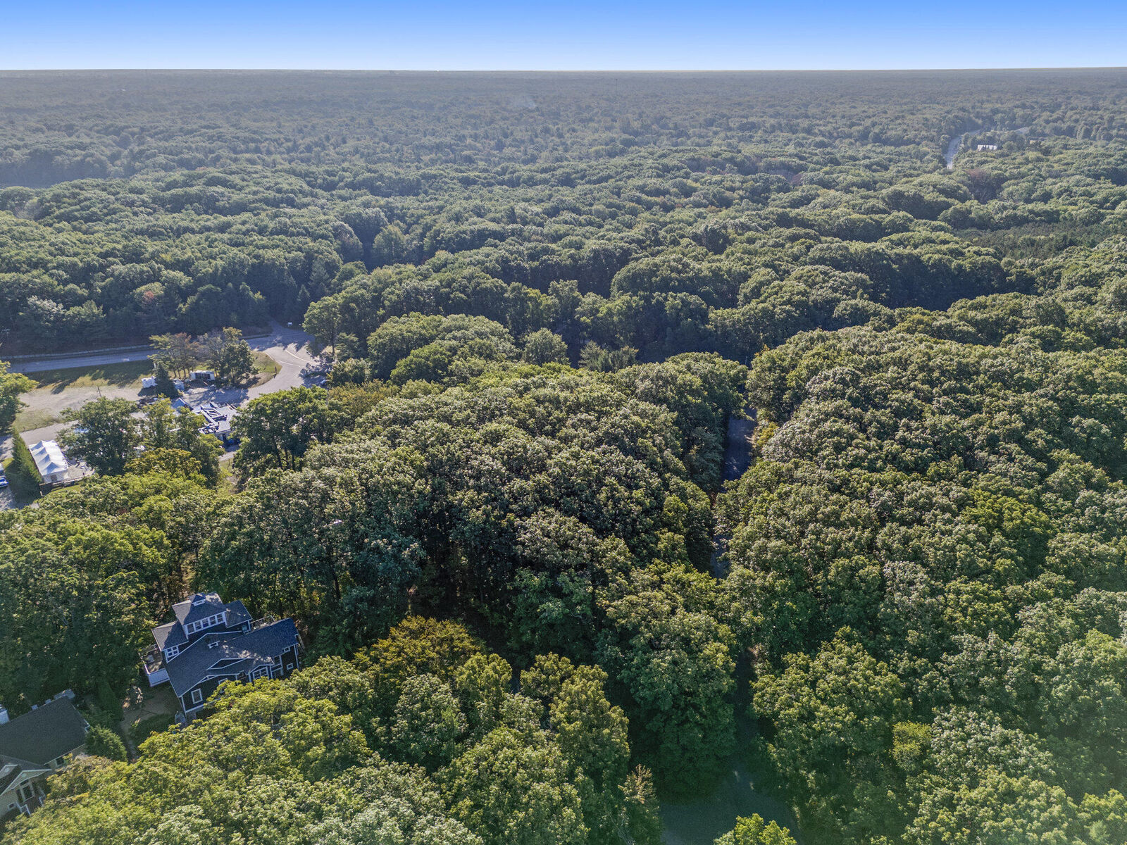 Property Photo:  V/L Inland Drive  MI 49460 