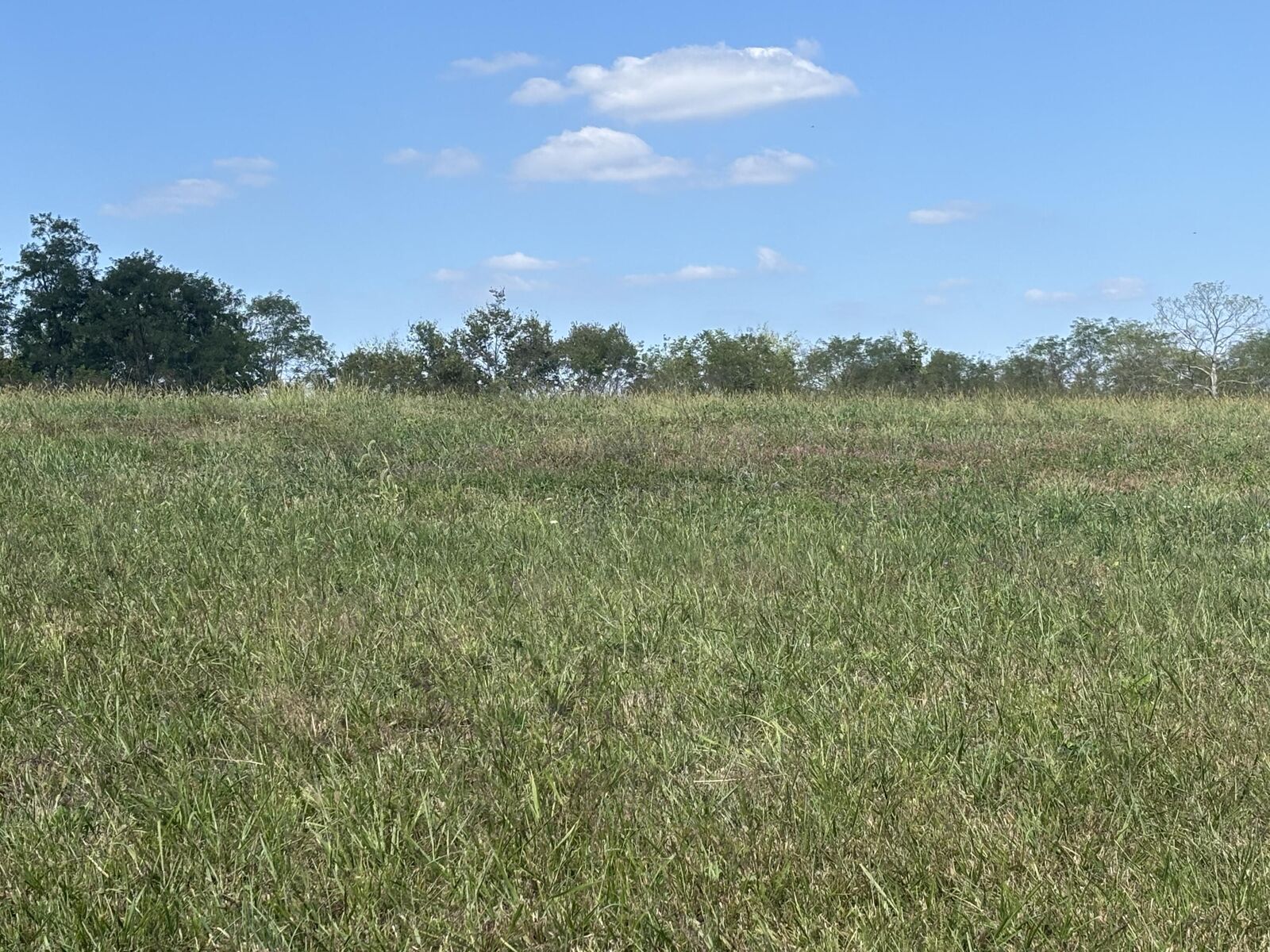 Property Photo:  0 1316 Hwy  KY 41086 