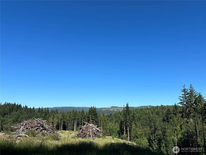Property Photo:  125  Talkeetna Heights Place  WA 98626 