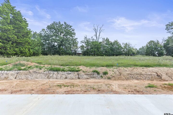 Property Photo:  13856 Cedar Hill Lane  TX 75704 