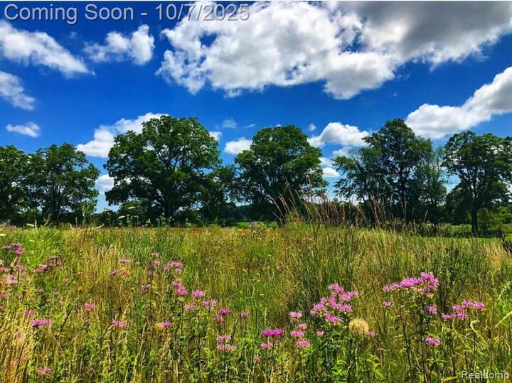 Property Photo: 8584 E Parker Road MI 48848