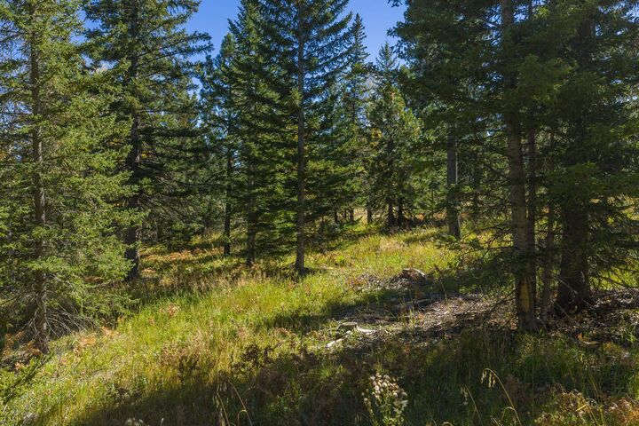 Property Photo: Tbd Lot 35 Smokey Stoke Court SD 57754