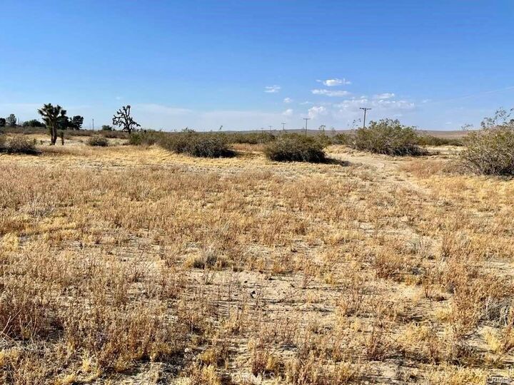 Property Photo:  0 150th Street E  CA 93535 